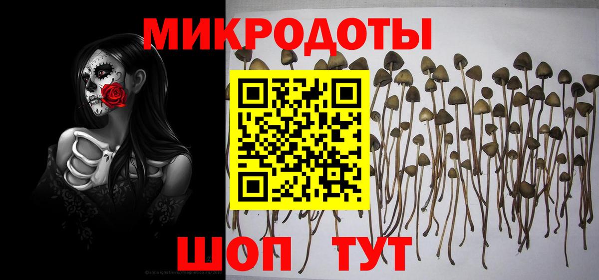 Галлюциногенные грибы Psilocybine cubensis Среднеуральск